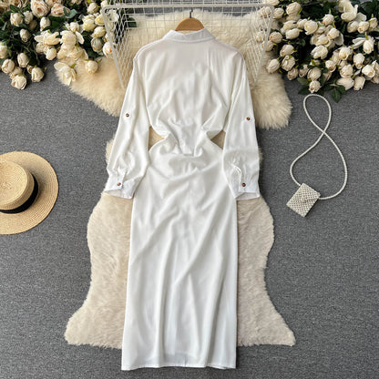 Women's Spring and Autumn New White Shirt Dress Long Skirt 481