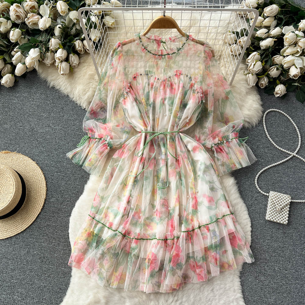 French Fairy Sweet Dress Summer Mesh Long Sleeve Dress 344