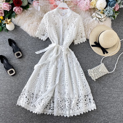 Stand Collar Long Sleeve Crochet Hollow Lace Dress Elegant Long Skirt 850